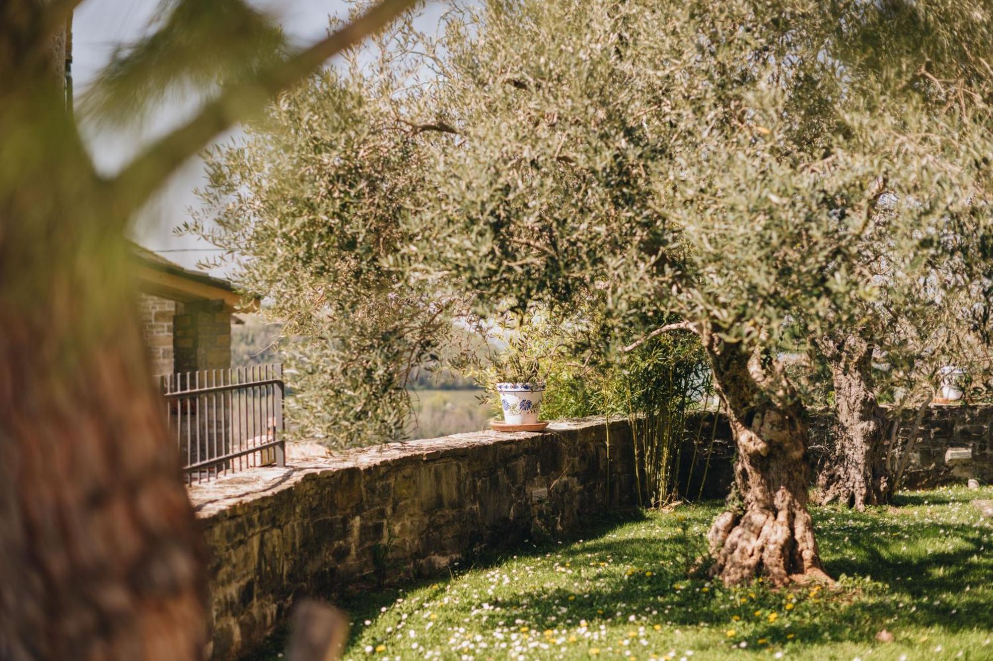 Dreamhill Meloni Βίλα Motovun Εξωτερικό φωτογραφία